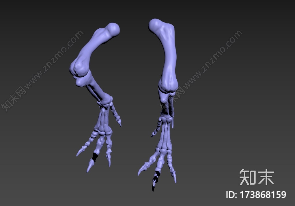 霸王龙腿骨3d打印模型下载【ID:173868159】