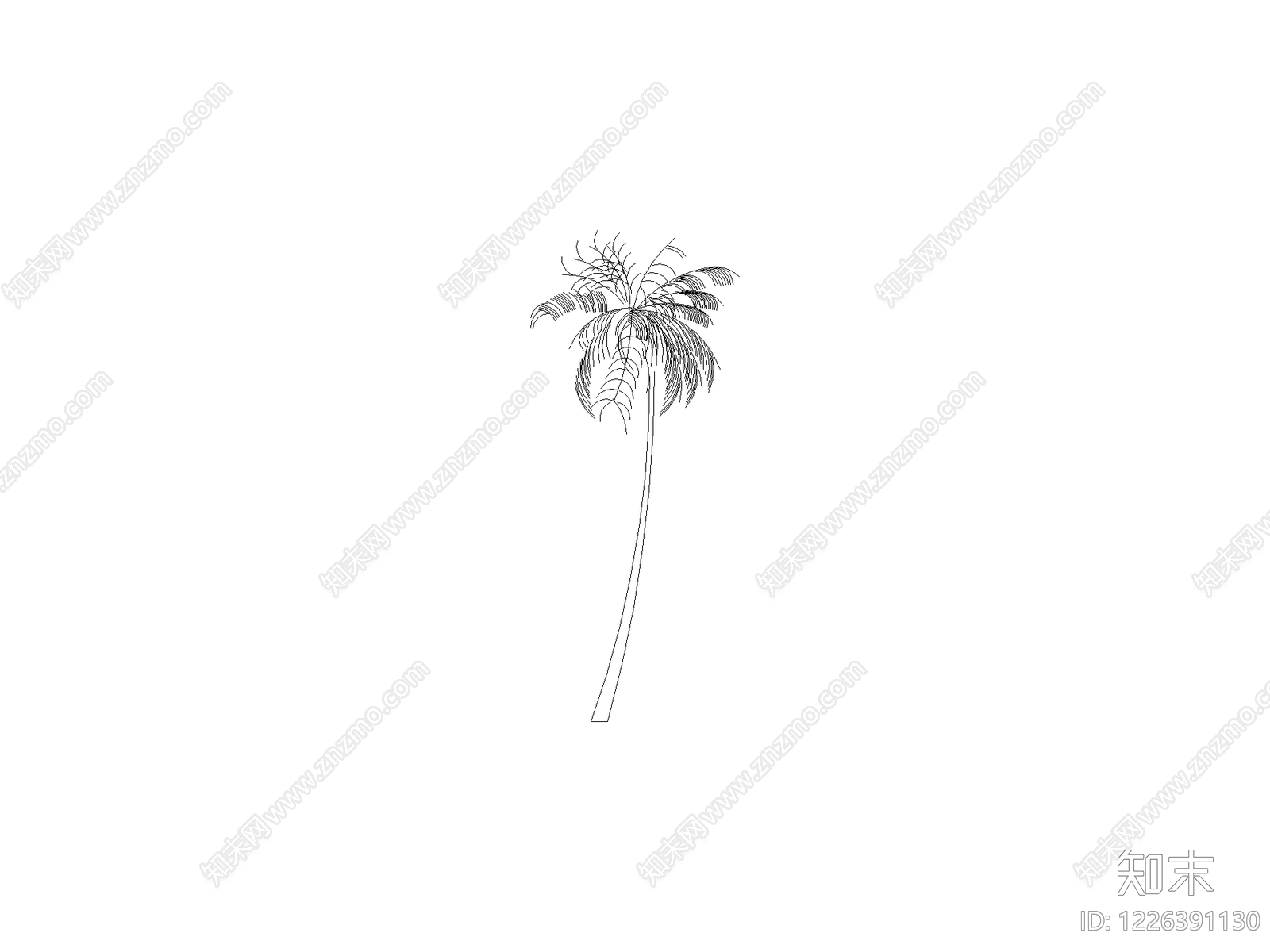 乔木种植CAD图纸