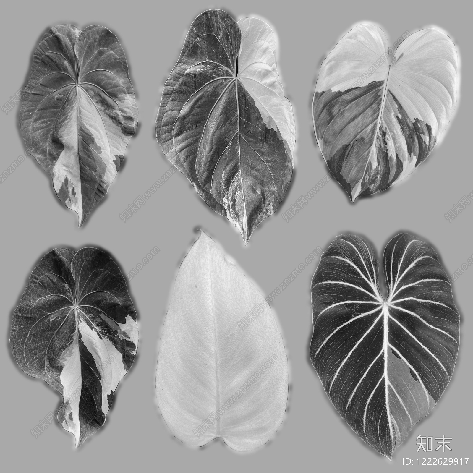 绿植墙贴图下载【ID:1222629917】
