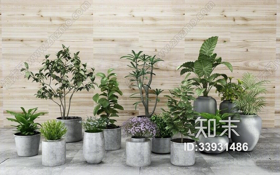 现代盆栽3D模型渲染效果图