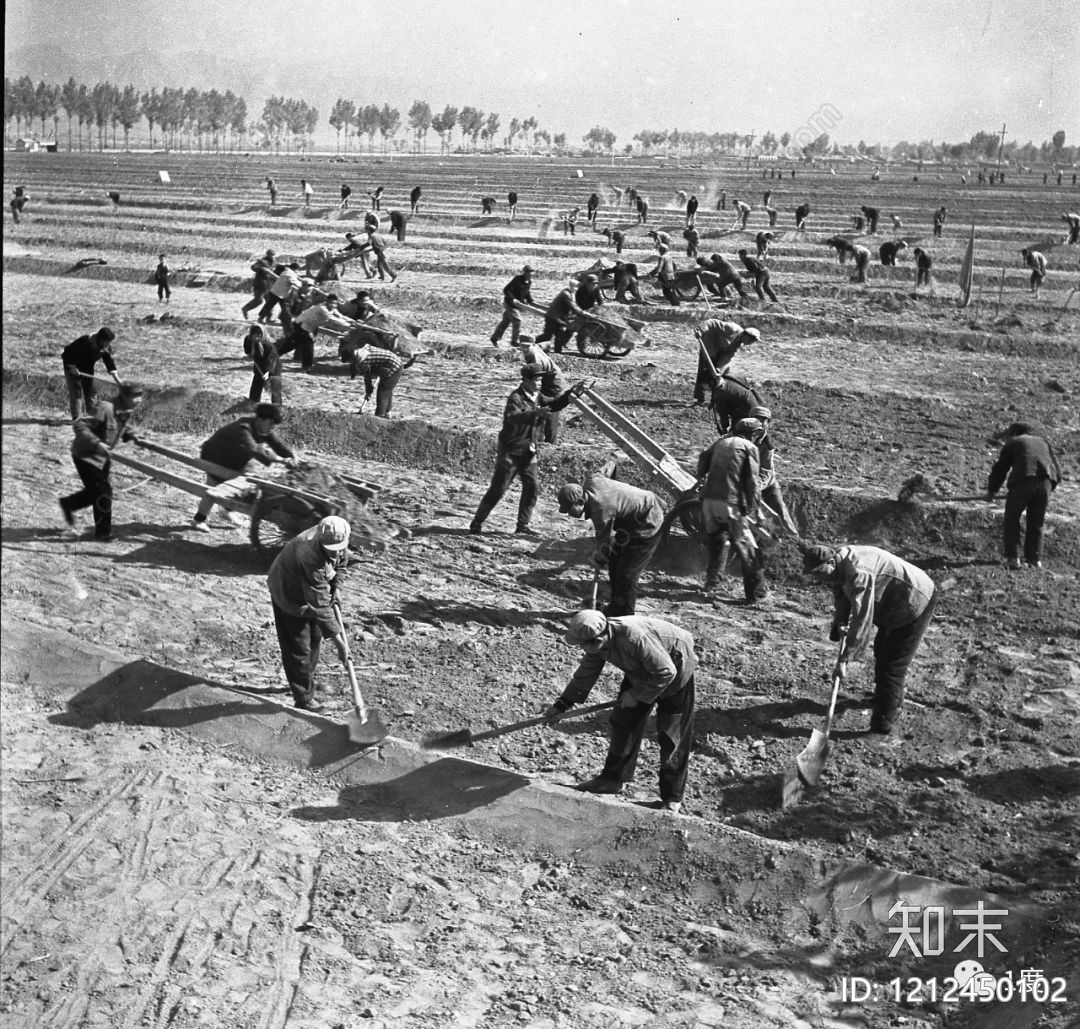 耕作土壤贴图下载【ID:1212450102】