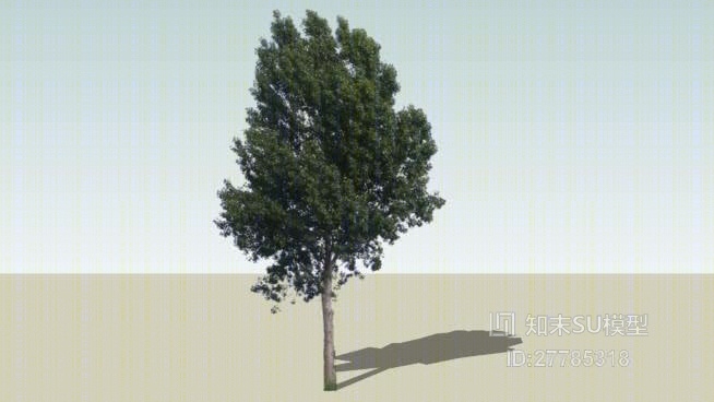 树SU模型下载【ID:27785318】