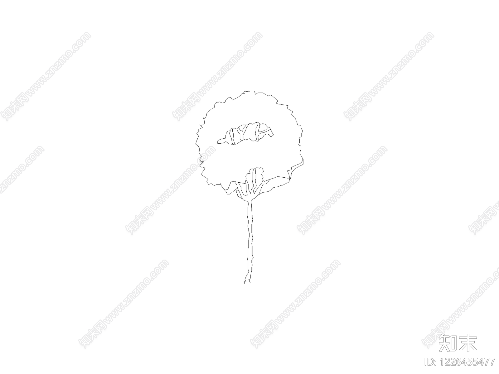 乔木种植CAD图纸