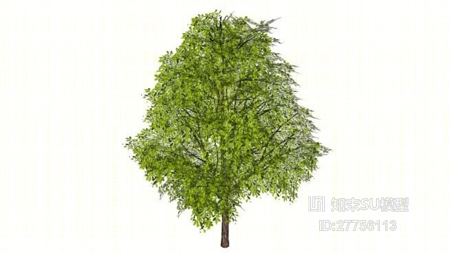 树SU模型下载【ID:27756113】