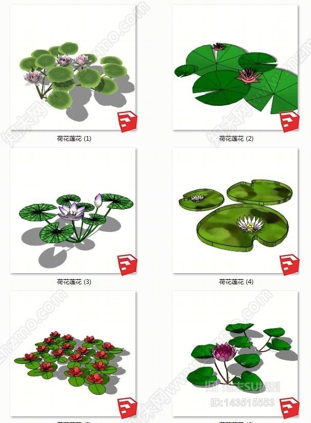 现代荷花SU模型下载【ID:143515553】