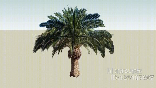 棕榈树SU模型下载【ID:123105697】