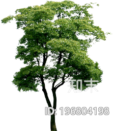 植被下载【ID:196804198】