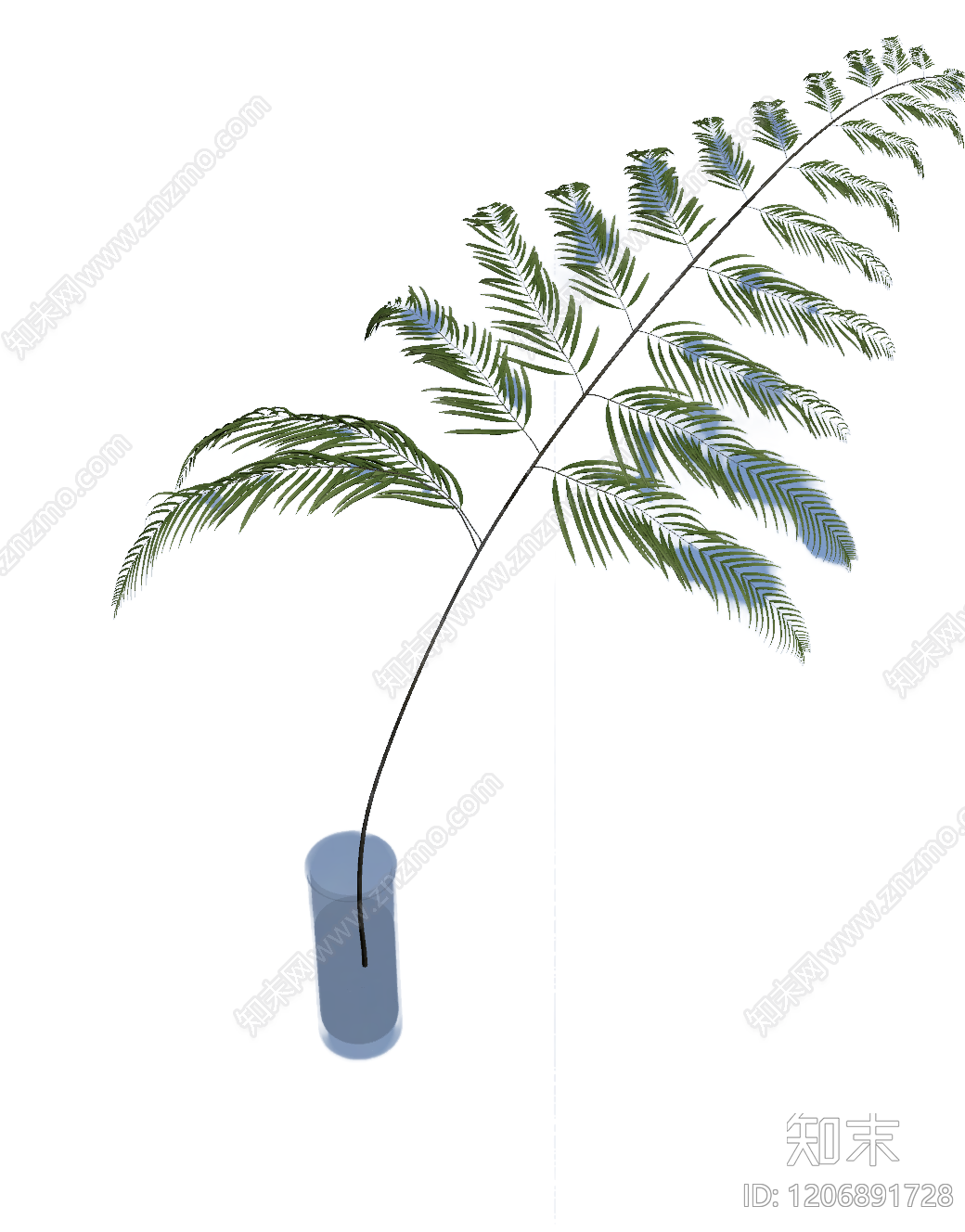 盆栽蕨类植物3D模型下载【ID:1206891728】