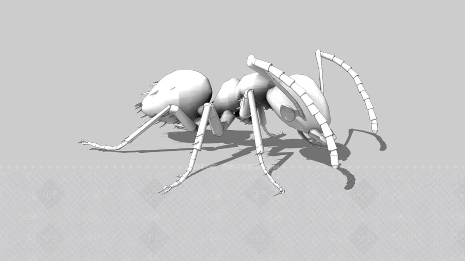 AntSU模型下载【ID:1162132493】
