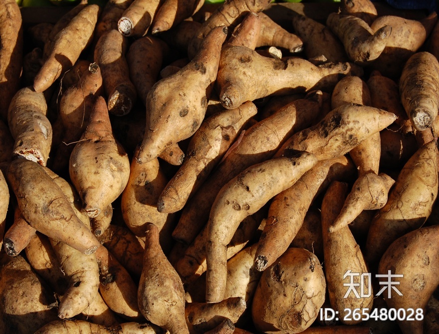 蔬菜贴图下载【ID:265480028】