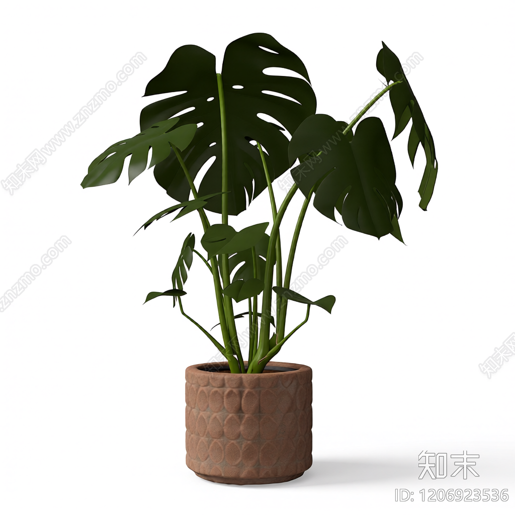龟背竹盆栽装饰3D模型下载【ID:1206923536】