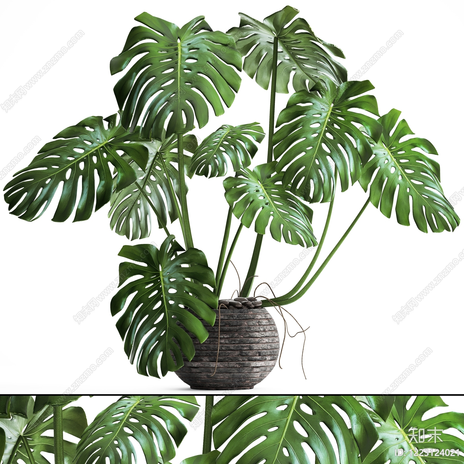 绿植墙贴图下载【ID:1223124021】
