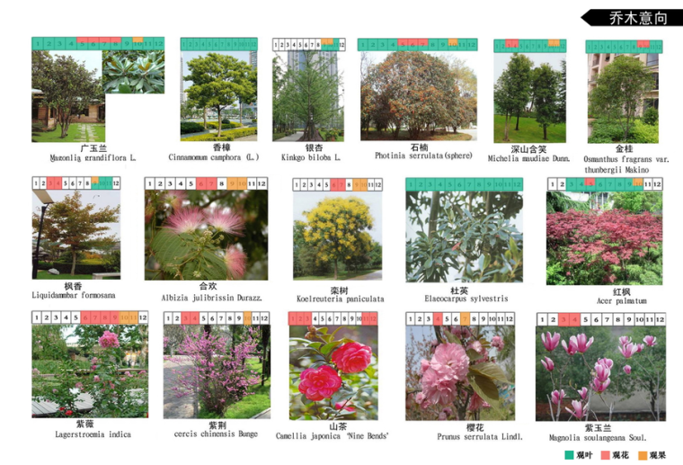 [杭州]泊悦府居住区景观方案文本-郎道国际（简约欧式...cad施工图下载【ID:161069124】