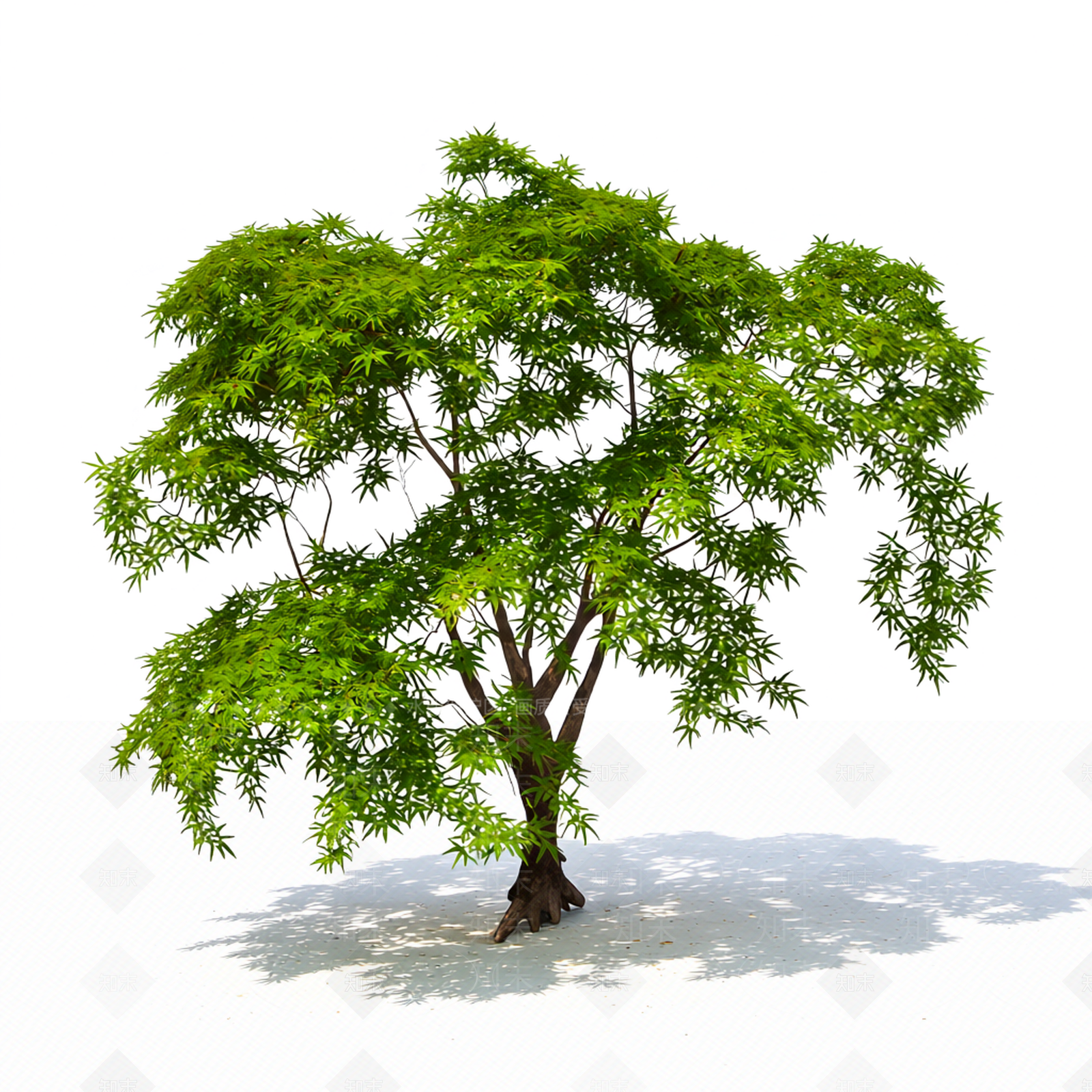 完整绿叶树模型3D模型下载【ID:1206186602】