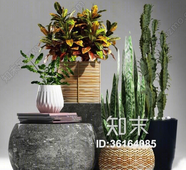 现代仙人掌盆栽组合3D模型下载【ID:36164085】