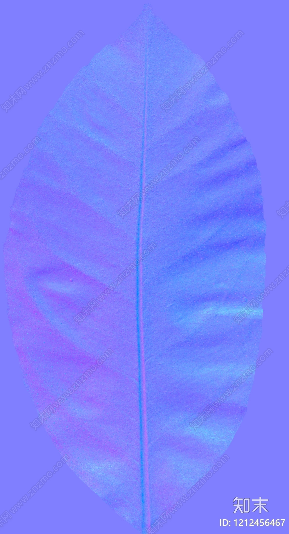 叶片纹理贴图下载【ID:1212456467】