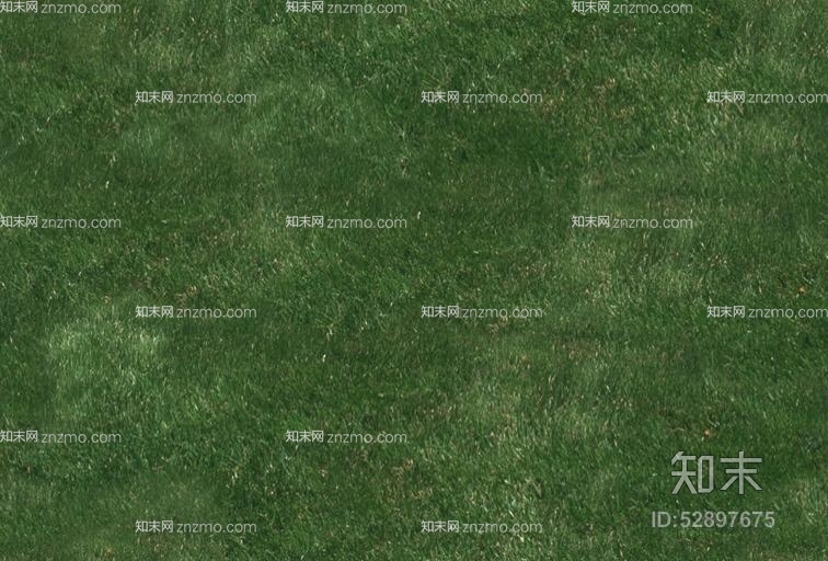 草地贴图下载【ID:52897675】