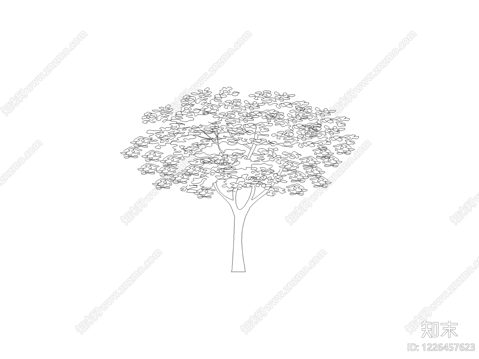 乔木种植CAD图纸
