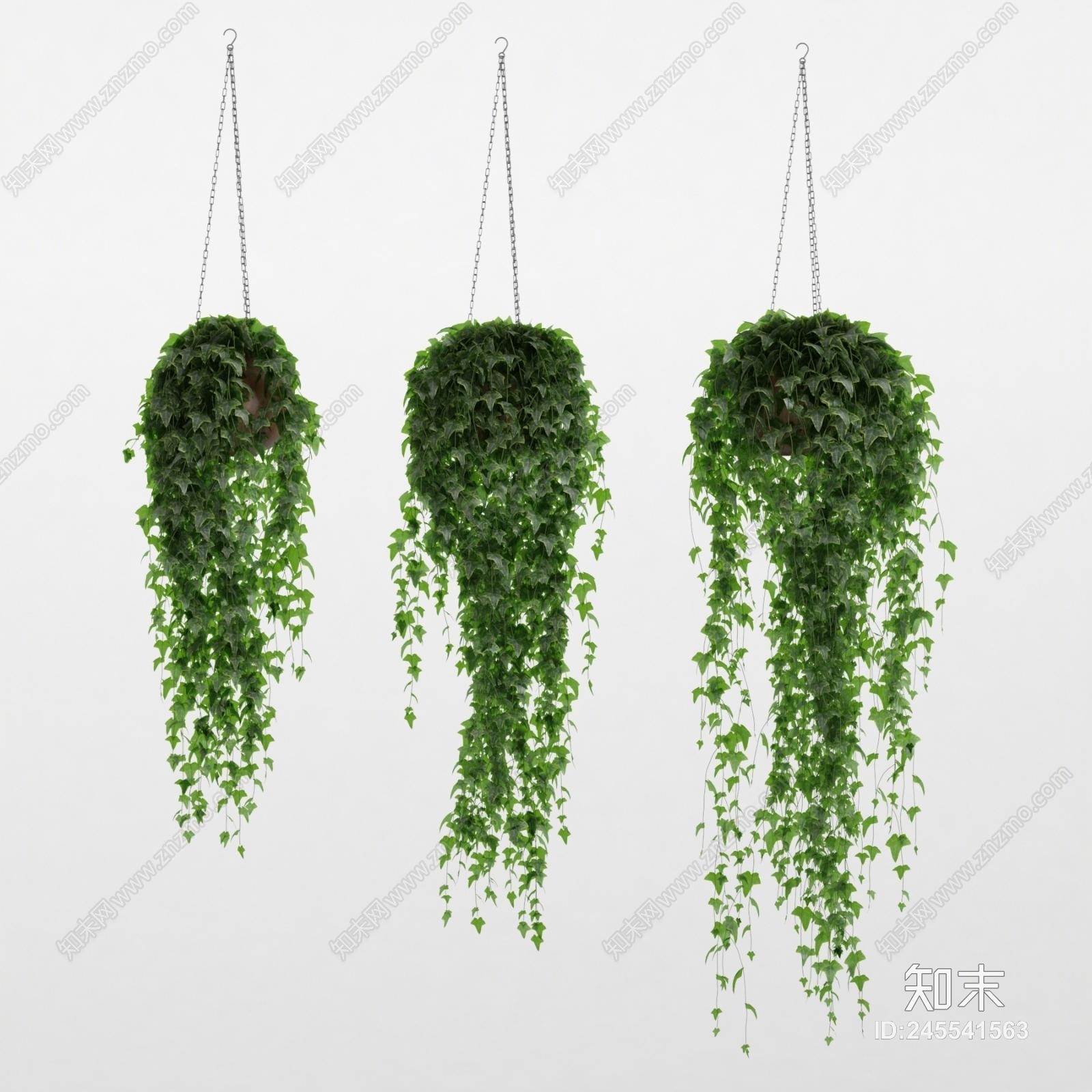 现代悬挂植物3D模型下载【ID:245541563】