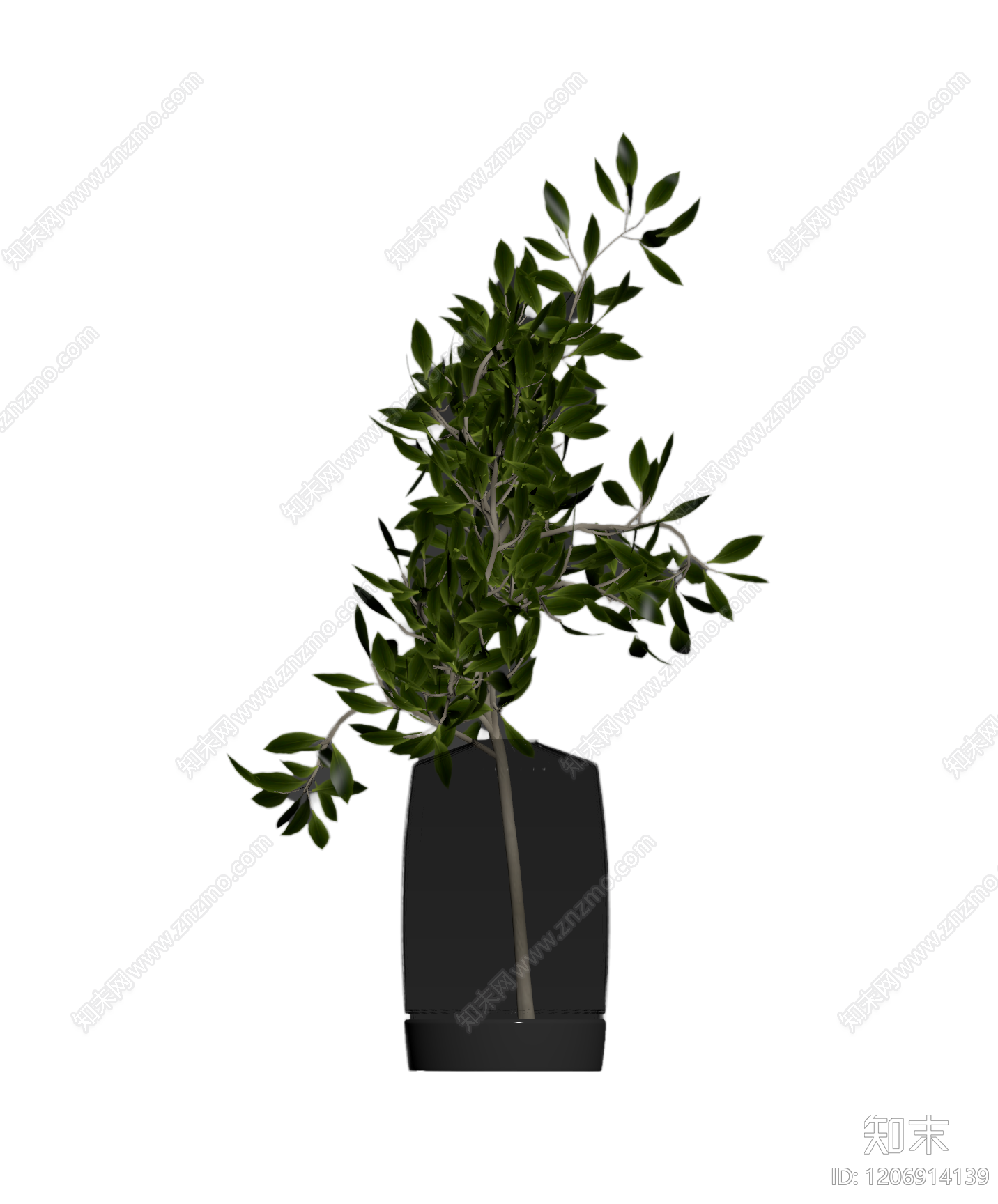 盆栽植物装饰3D模型下载【ID:1206914139】