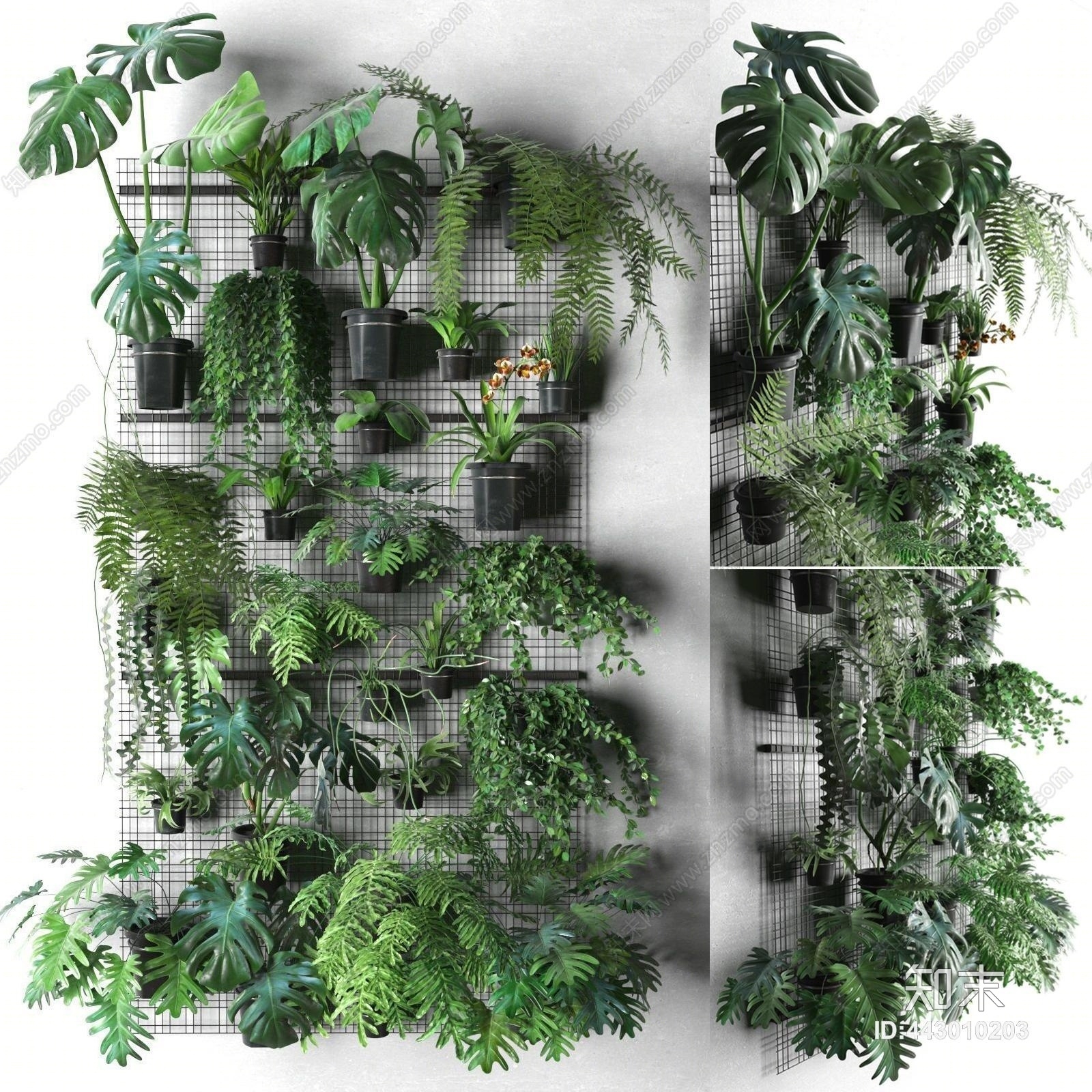 现代绿植盆栽植物墙组合3D模型下载【ID:443010203】
