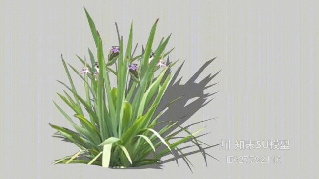 草SU模型下载【ID:27792115】