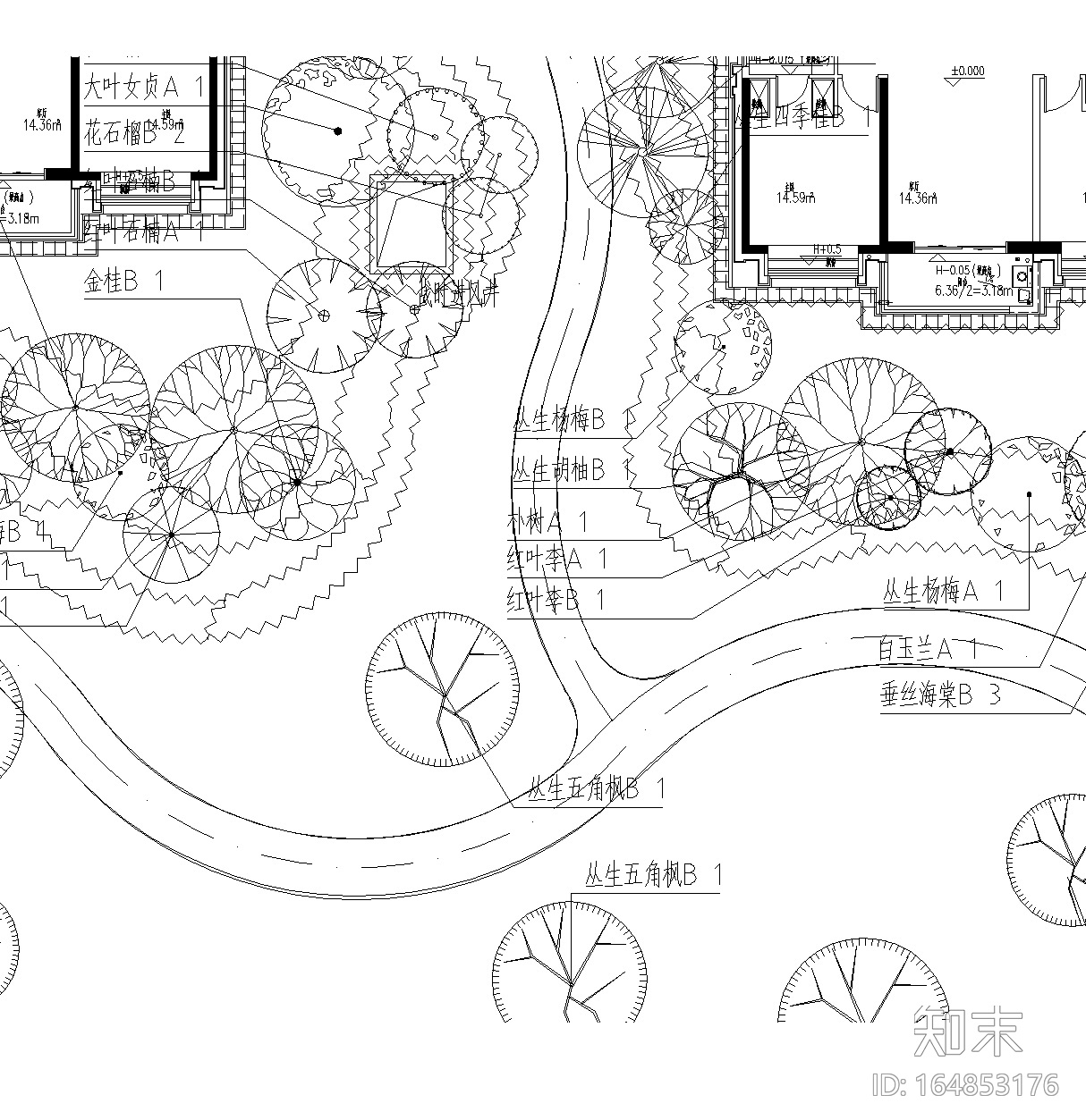 [上海]万科新古典居住区景观植物CAD施工图施工图下载【ID:164853176】