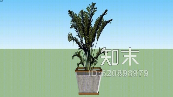 植物血管SU模型下载【ID:620898979】