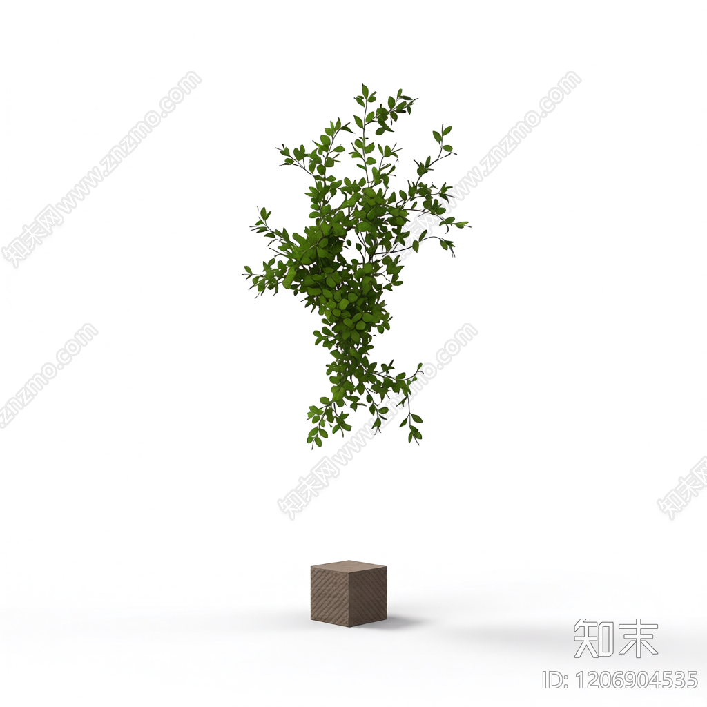 盆栽植物组合3D模型下载【ID:1206904535】