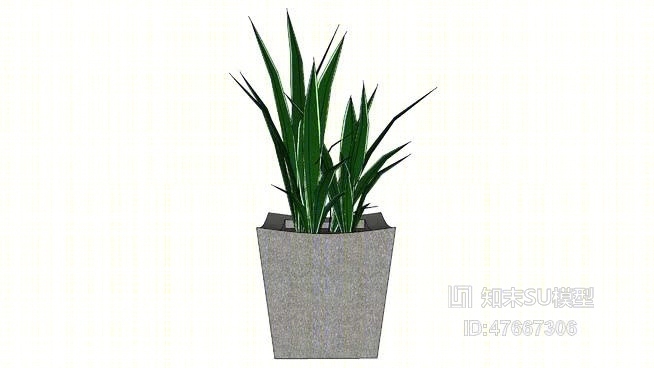草SU模型下载【ID:47667306】