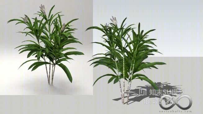 草SU模型下载【ID:219268184】