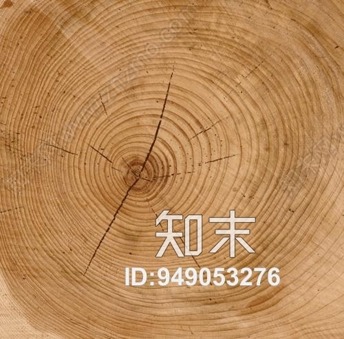 高清树皮贴图老木头贴图下载【ID:949053276】