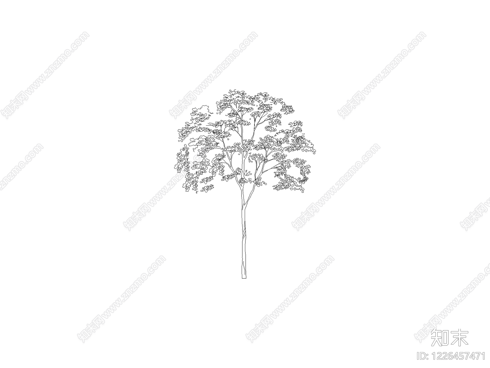 乔木种植CAD图纸