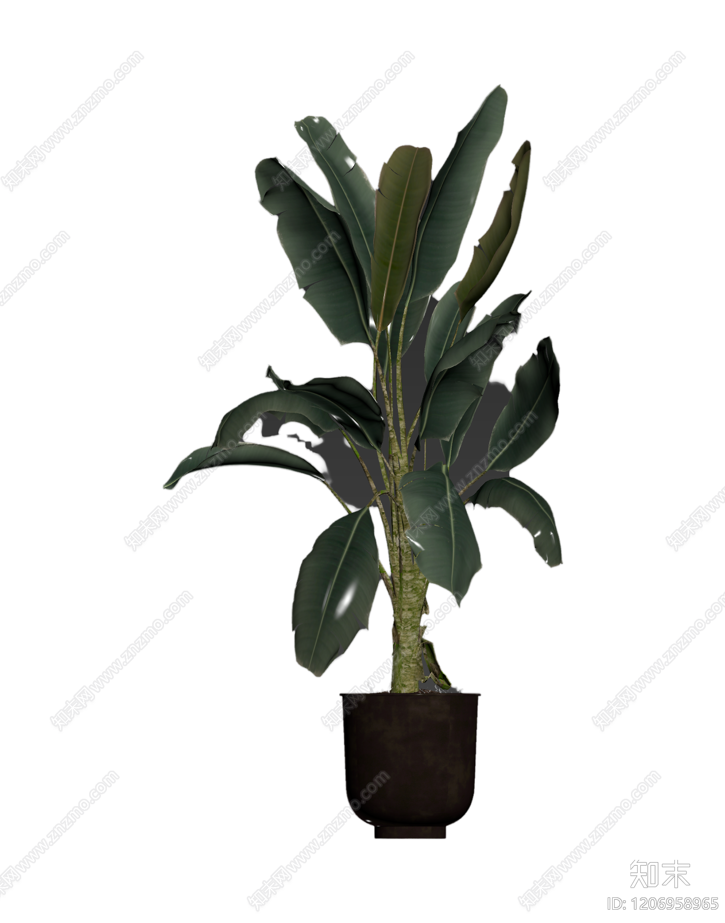 盆栽植物装饰3D模型下载【ID:1206958965】