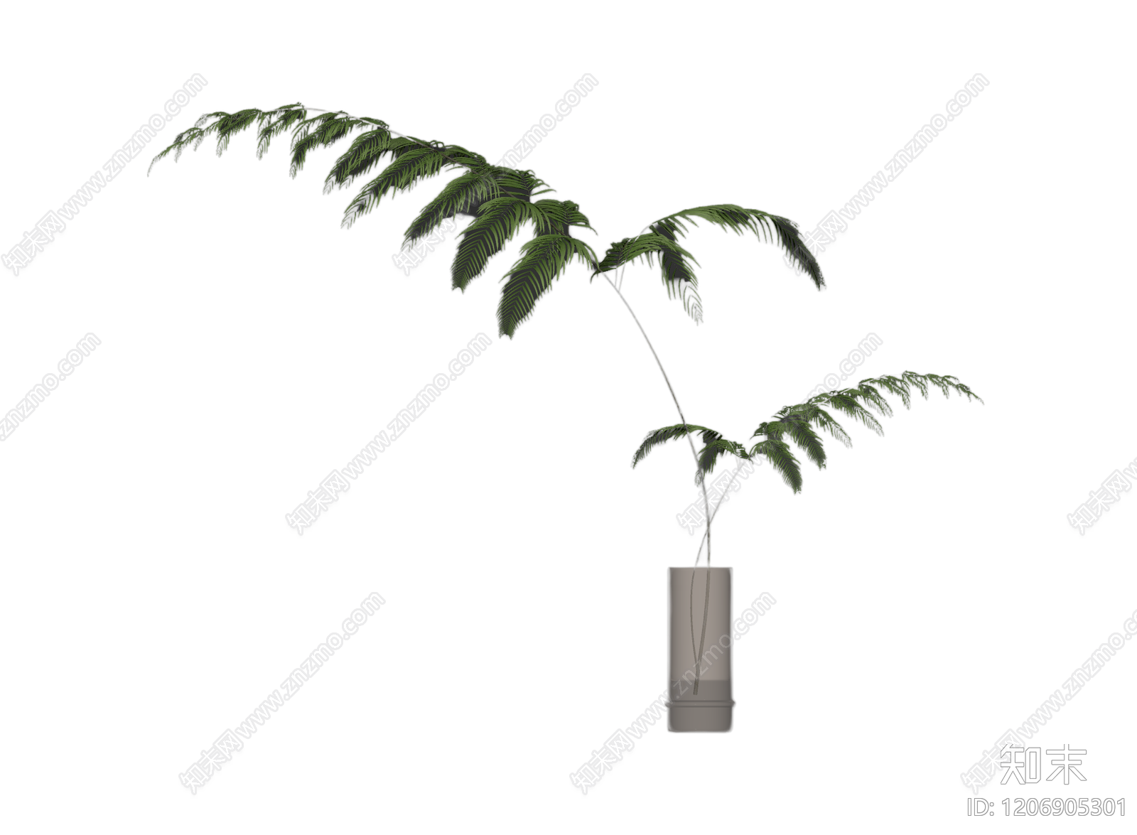 盆栽蕨类植物3D模型下载【ID:1206905301】