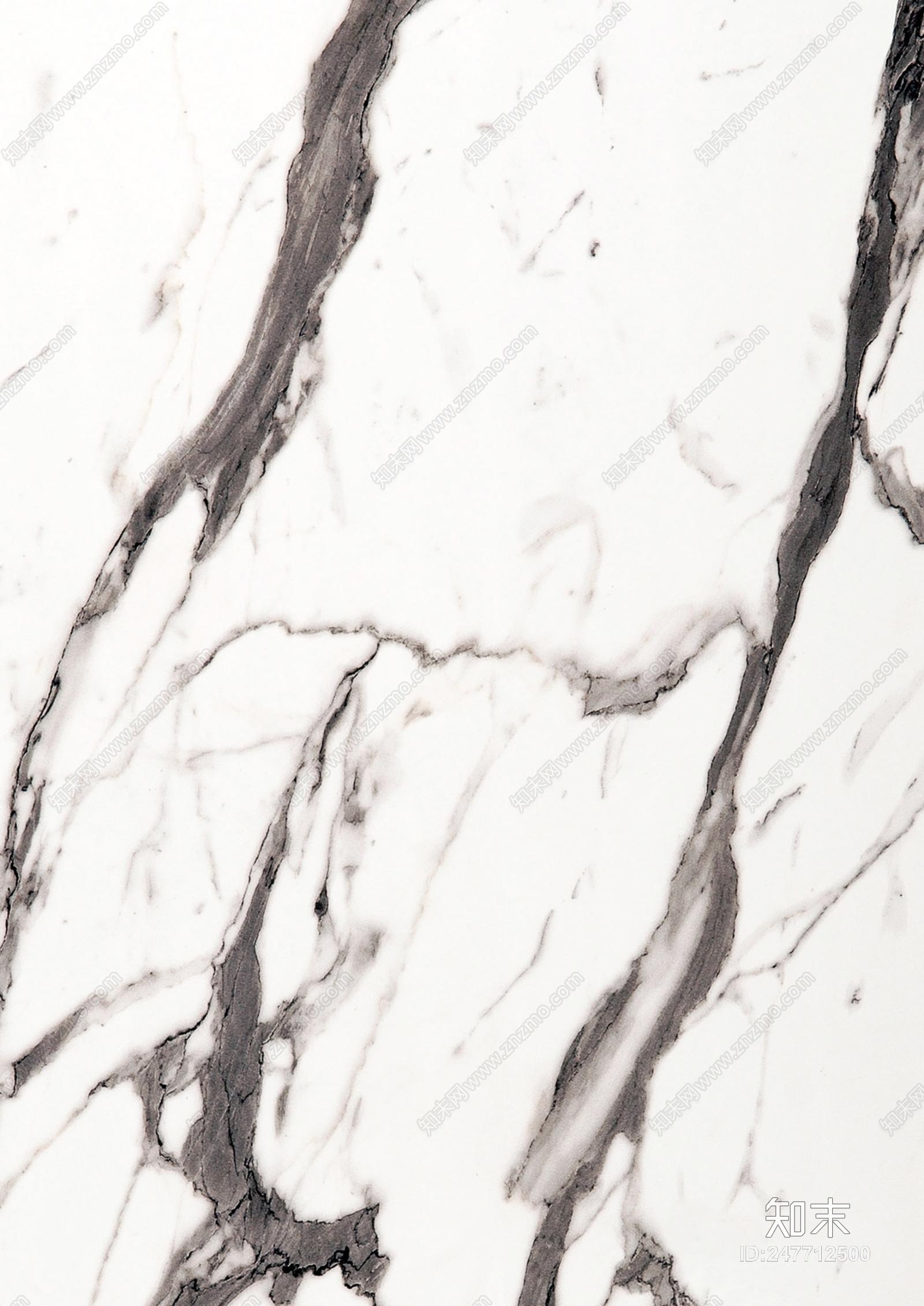 子非鱼贴图下载【ID:247712500】