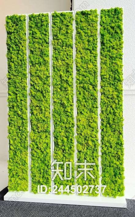 植物墙贴图下载【ID:244502737】