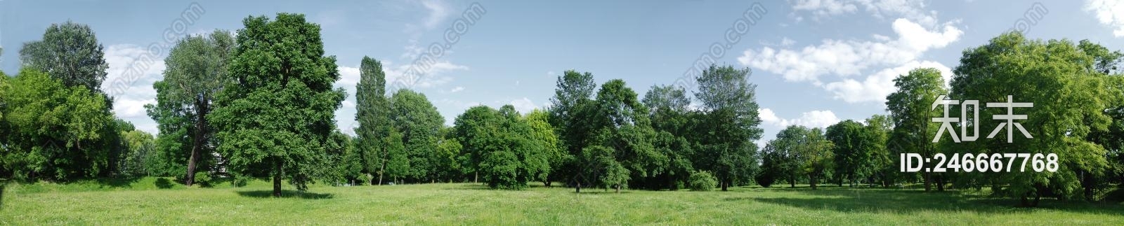 自然室外风景贴图下载【ID:246667768】