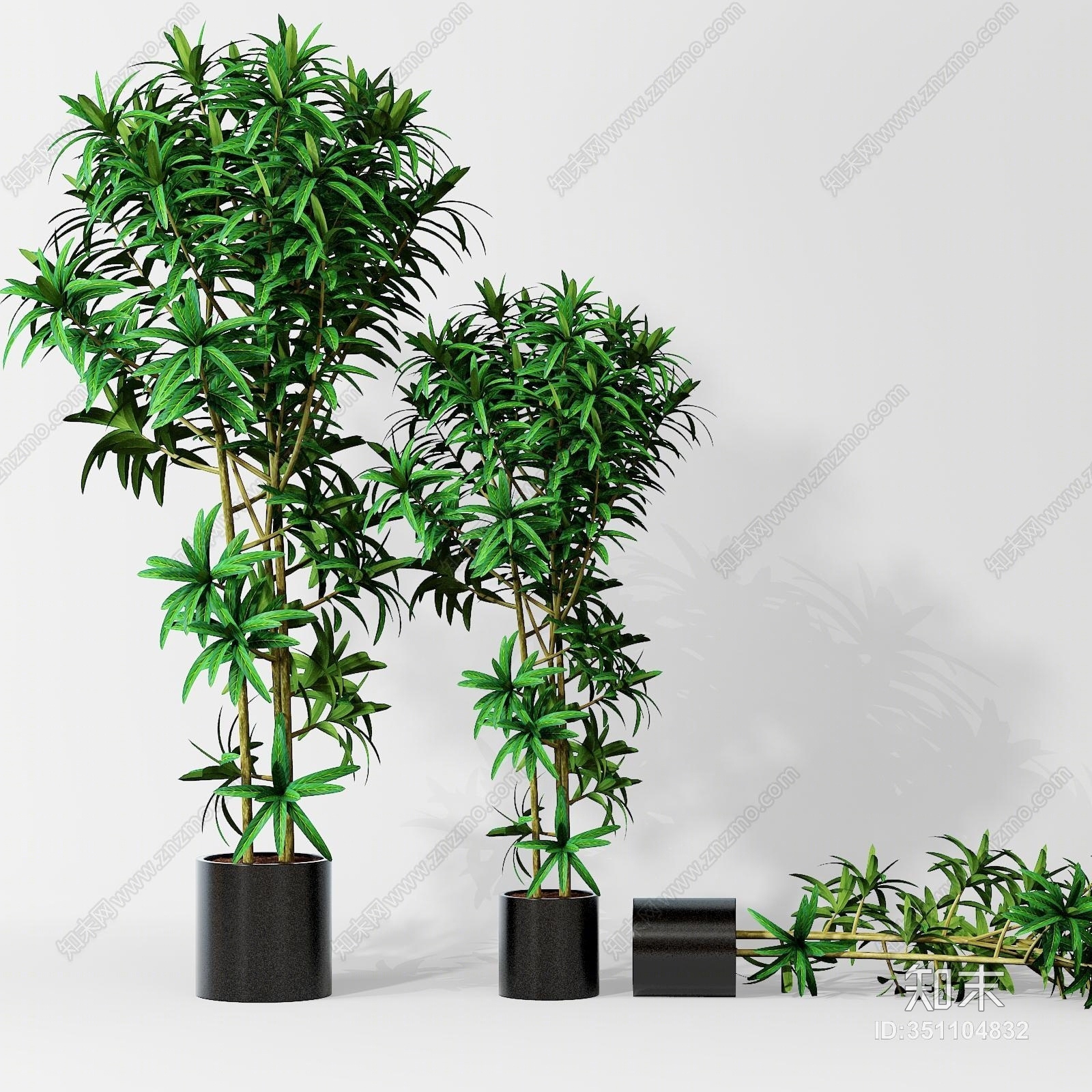 现代植物盆栽3D模型下载【ID:351104832】