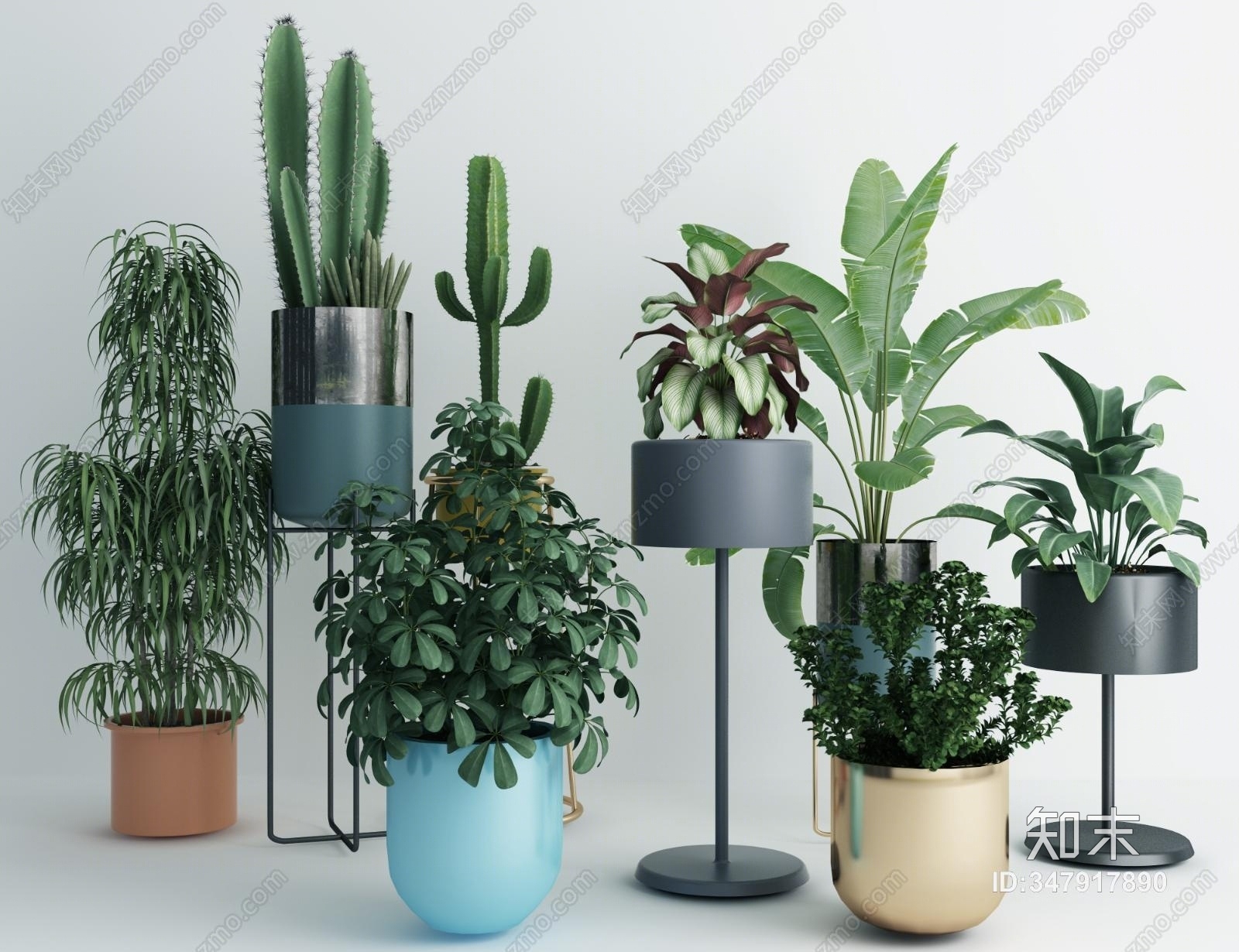 现代绿植盆栽3D模型下载【ID:347917890】_知末3d模型网