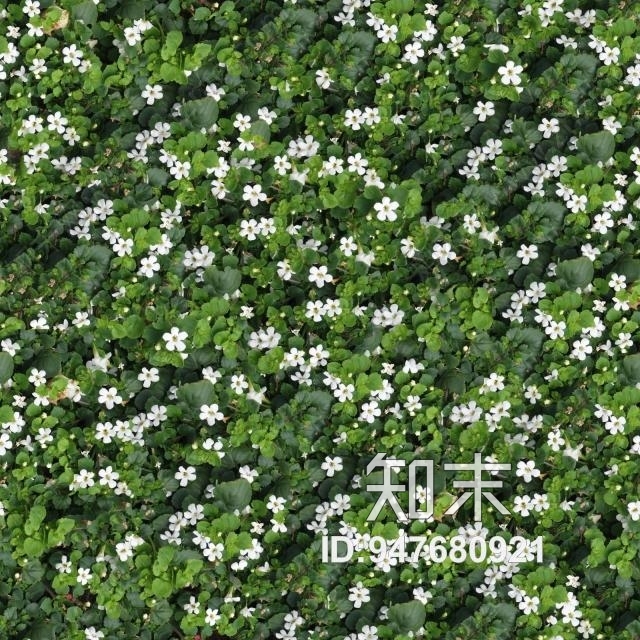 自然元素贴图下载【ID:947680921】