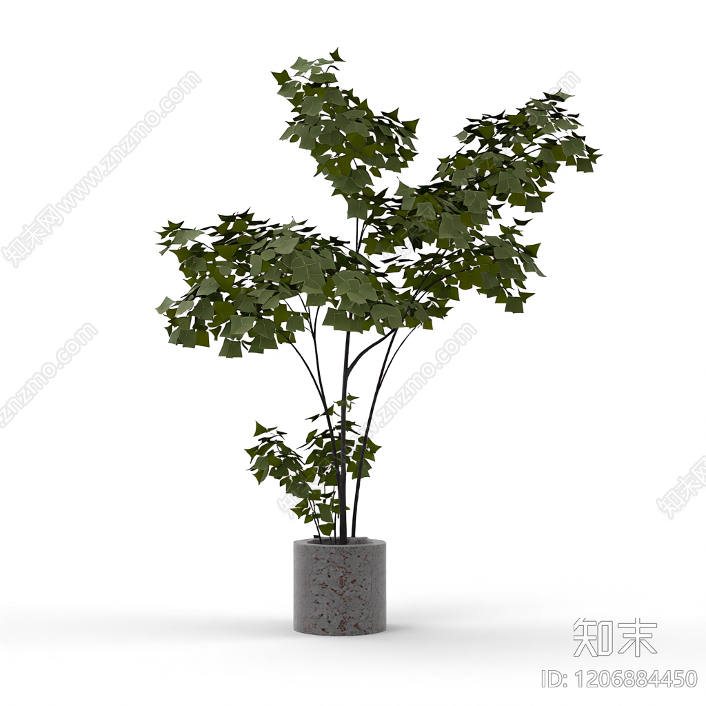 盆栽绿植3D模型下载【ID:1206884450】