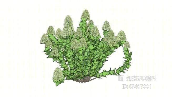 草SU模型下载【ID:217943165】