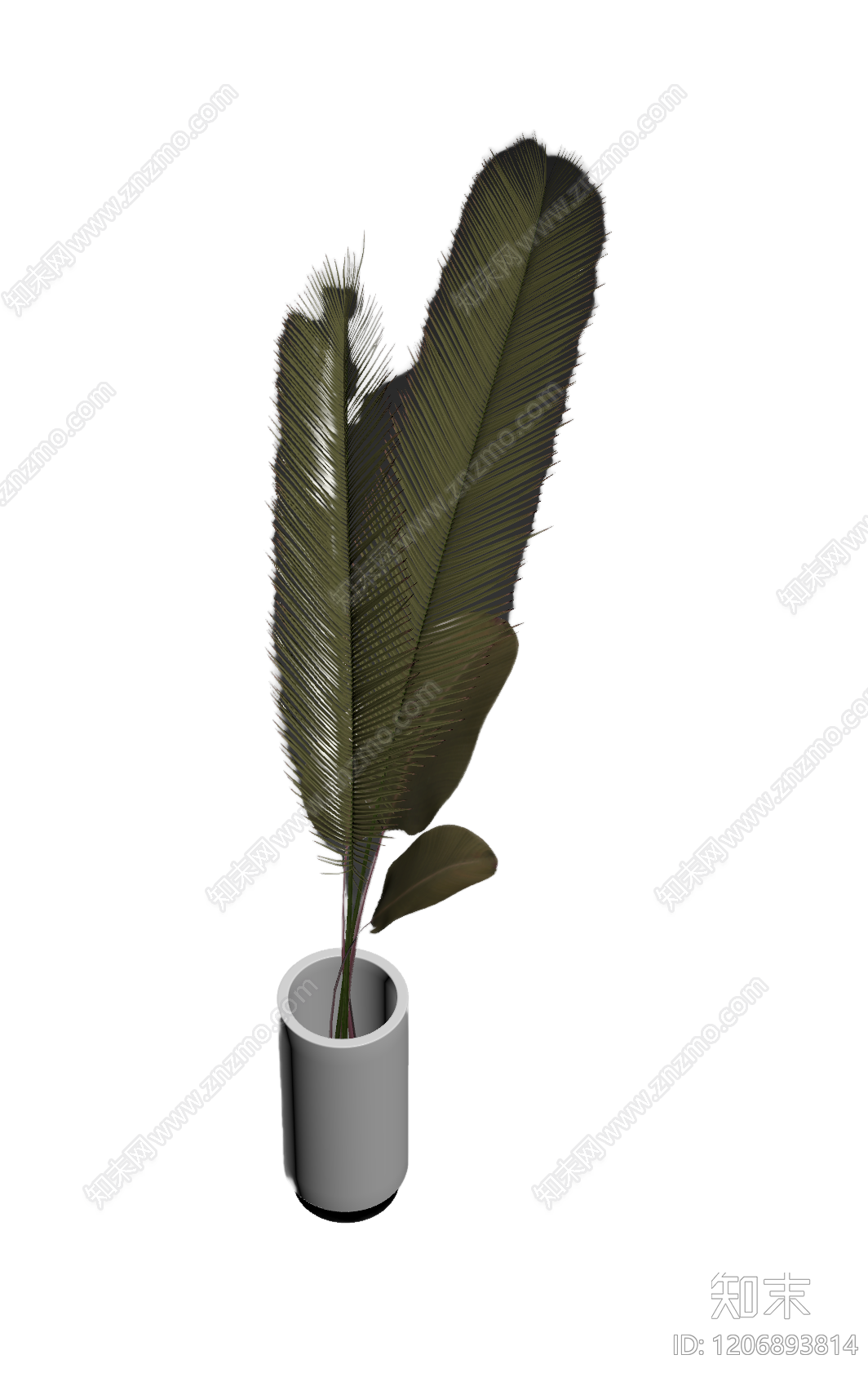 盆栽植物装饰3D模型下载【ID:1206893814】
