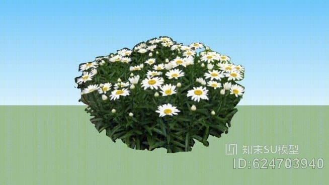 沙斯塔雏菊SU模型下载【ID:624703940】