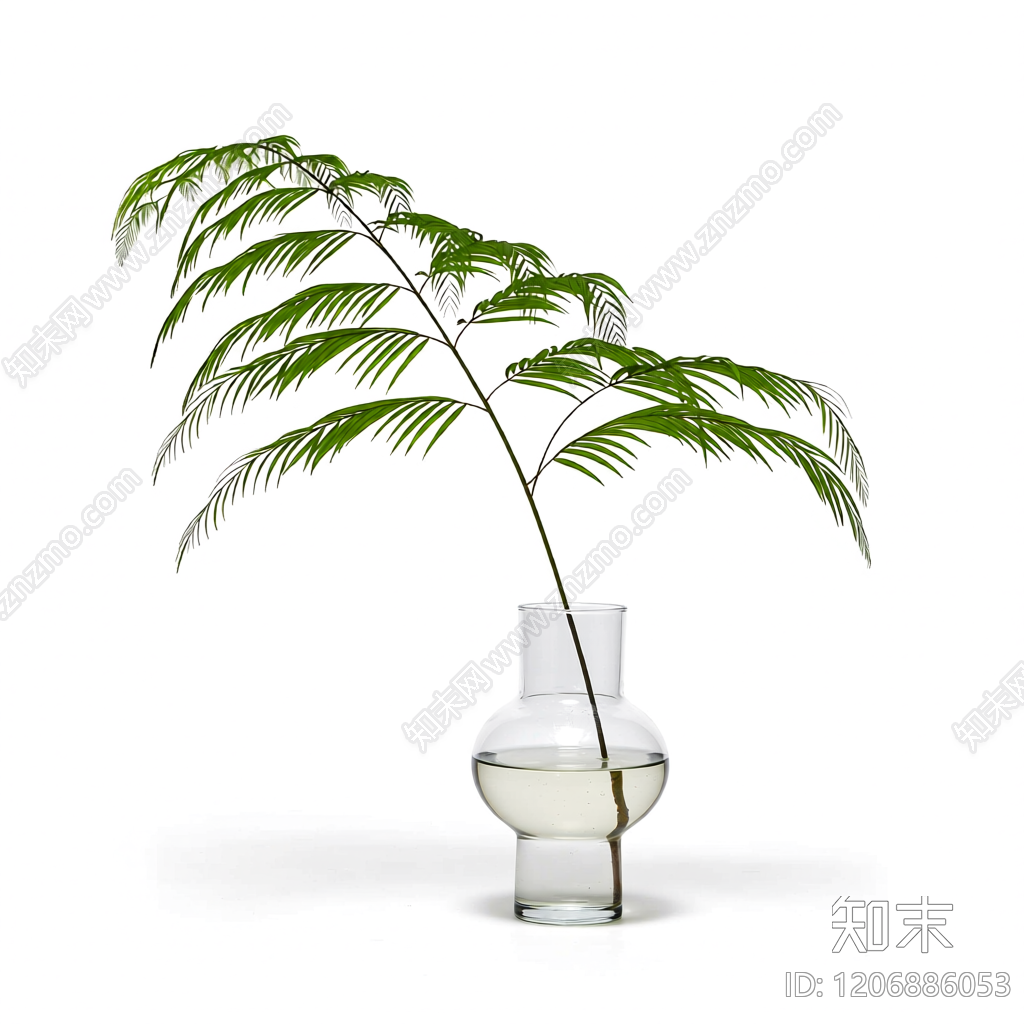 盆栽蕨类植物装饰3D模型下载【ID:1206886053】