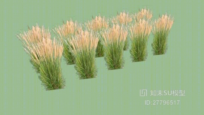 现代植物SU模型下载【ID:27796517】