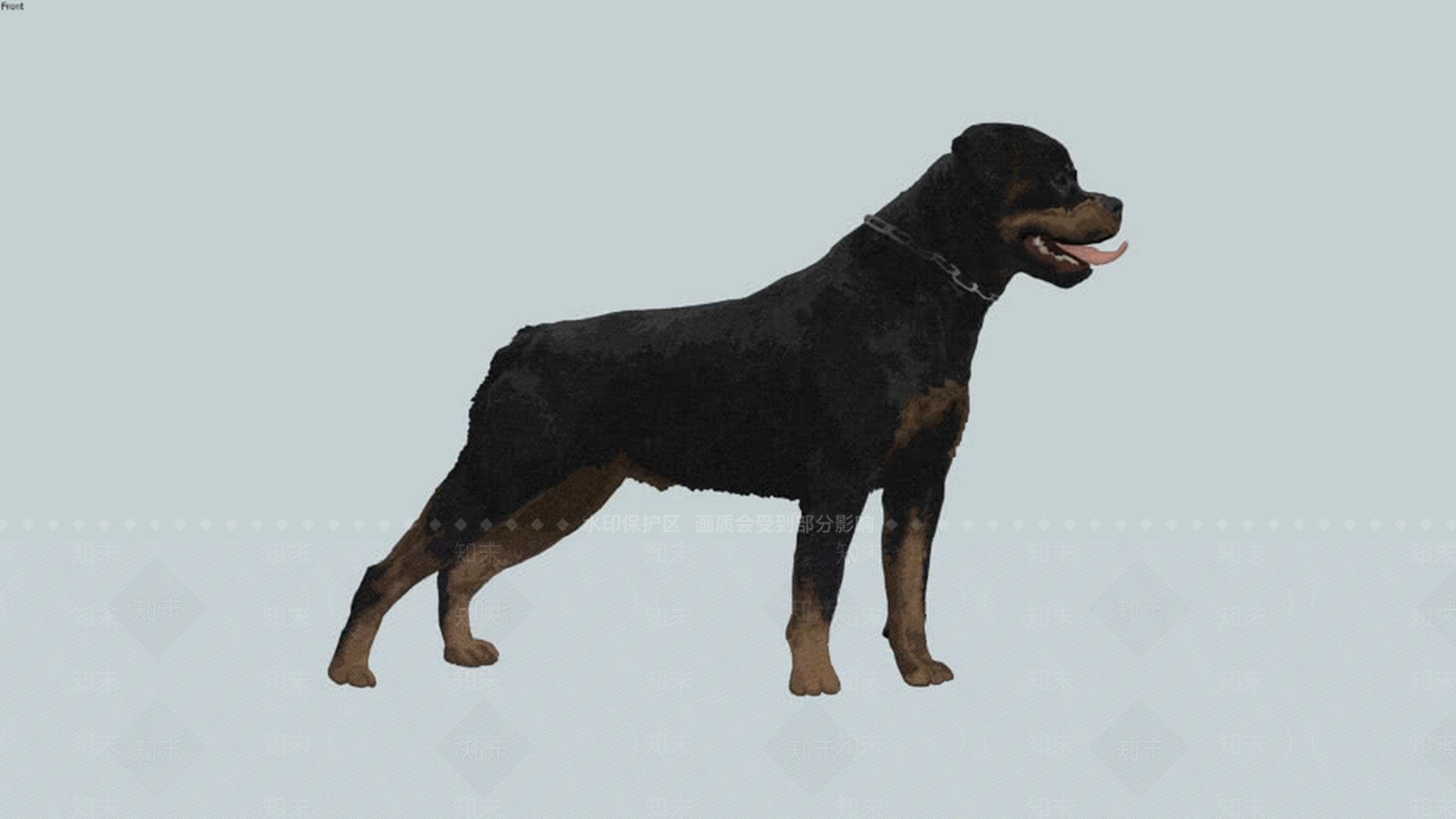 罗威纳犬(2DSU模型下载【ID:1162356538】