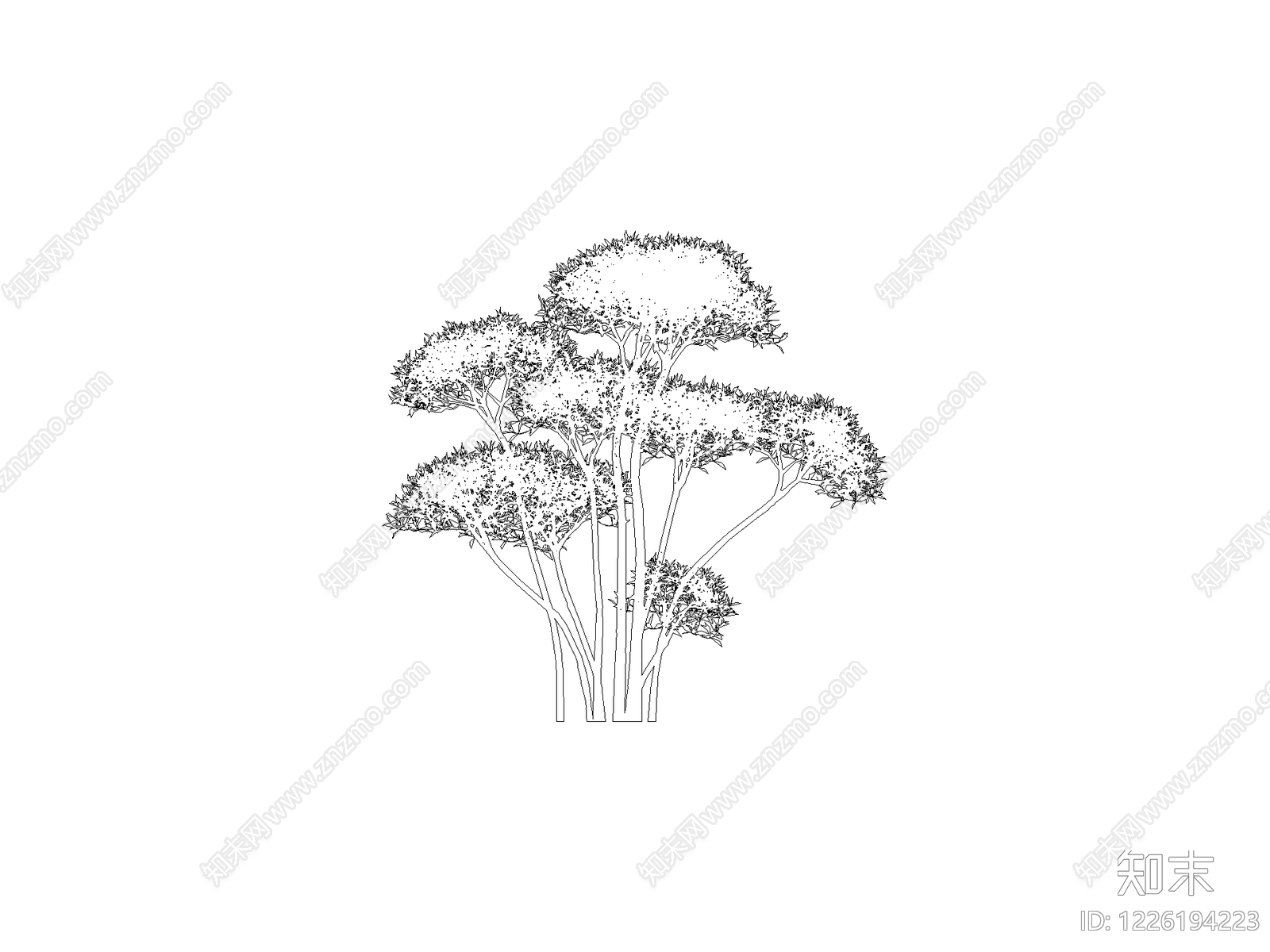 新中式,中式乔木种植CAD图纸