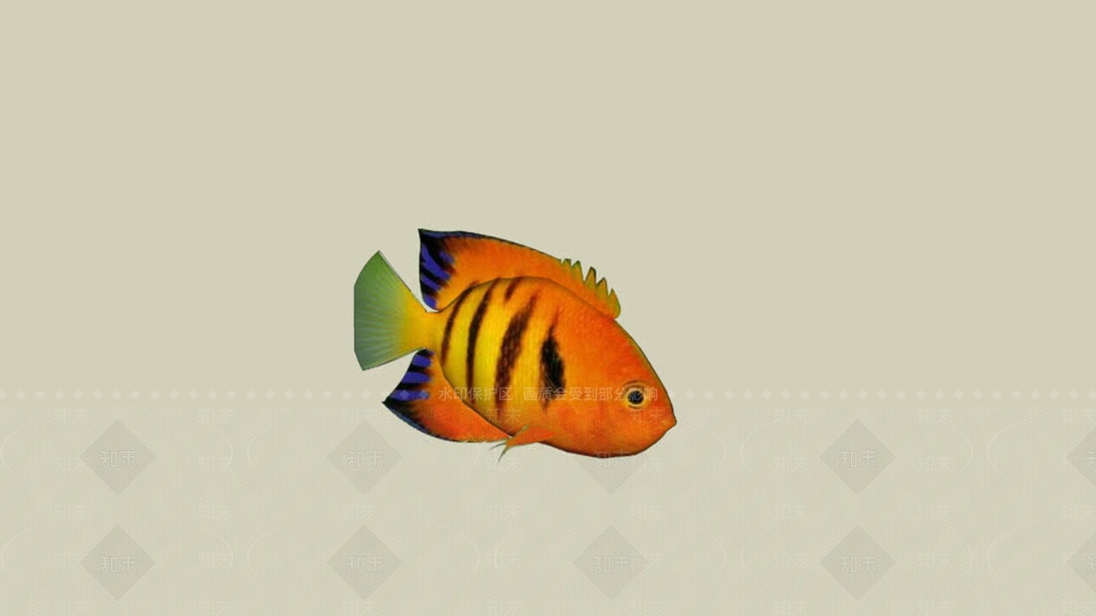 鱼SU模型下载【ID:1162132855】